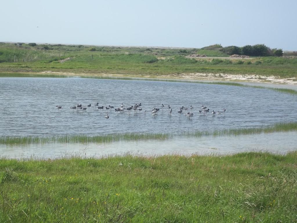 Camping Paradis Les Galets De La Molliere Cayeux-sur-Mer Eksteriør bilde